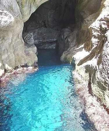 Il Gabbiano Blu - Monolocale Giallo